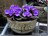curso jardineria cursos de jardineria cursos jardineria