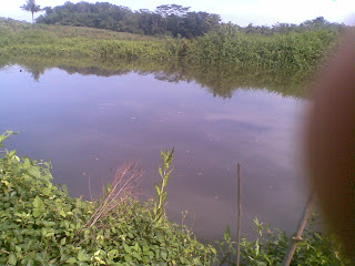 Lokasi mancing jeruklegi cilacap