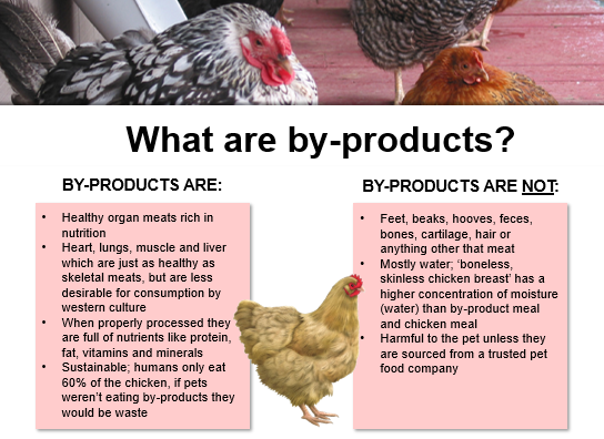 Truth about by-products in pet food