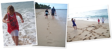 View Beaches