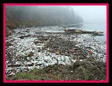 Plastic pollution,plastic waste,plasti bottel,water pollution