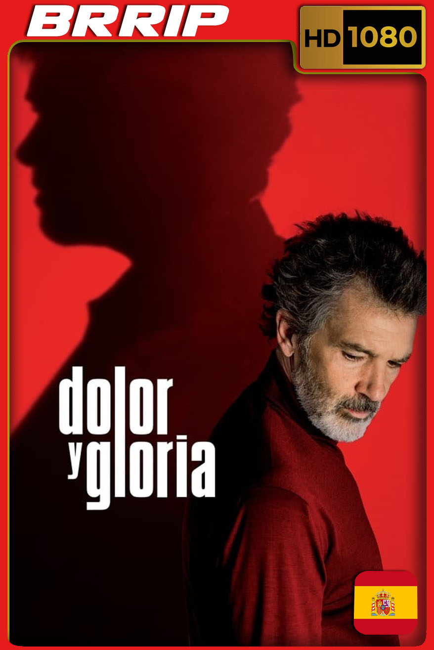 Dolor y Gloria (2019) BRRip Castellano
