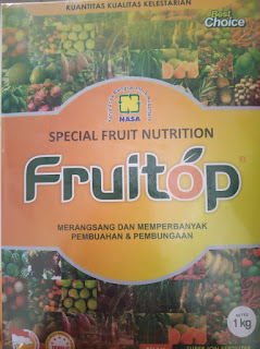 pupuk pendongkrak buah