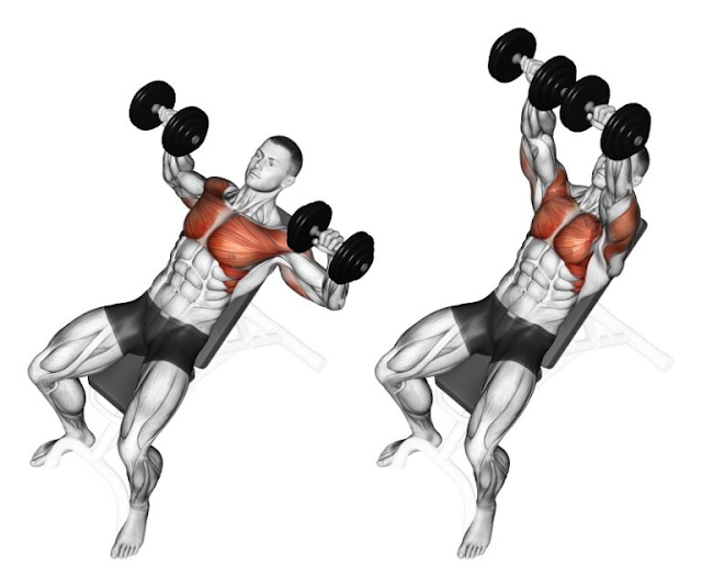 How To Train Full Chest Workout At Home With Or Without Tools