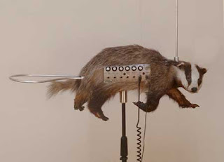 Most Unusual Musical Instruments In The World badgermin