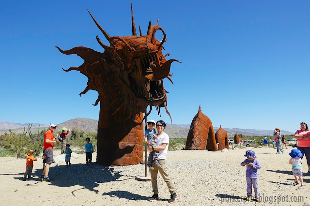 anza-borrego state park, desert, super bloom, desert bloom, san diego