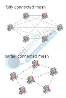 Topologi Mesh adalah