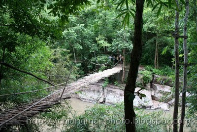 Chaingmai  Hiking travel through a forest 