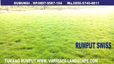 TUKANG RUMPUT SWIS VARIGATA FLORA GROUP HP. 085697408811