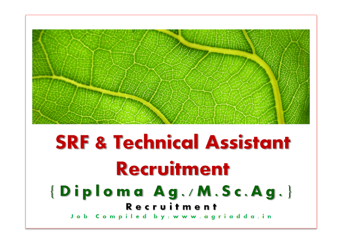 SRF & Technical Asst. Recruitment- Diploma Agriculture | M.Sc.Ag. Entomology