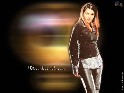 Bollywood - Mrinalini Sharma Wallpaper 