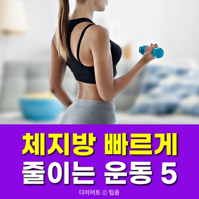 체지방 줄이는 운동 5, 집에서 하는 유산소 운동 5