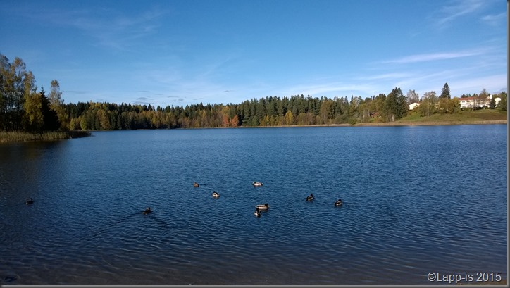 WP_20151005_014