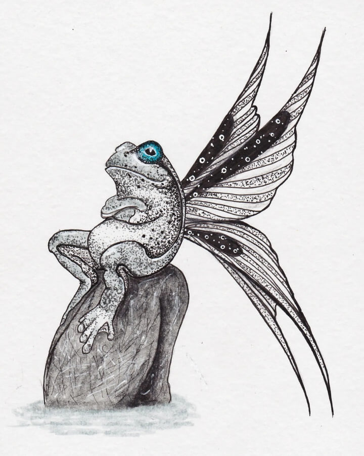 03-The-winged-frog-Creature-Drawings-Elena-www-designstack-co