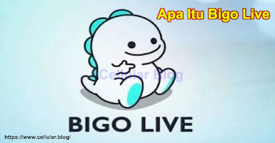 Apa Itu Bigo Live