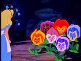 13 les fleurs qui parlent
