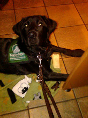 Dagan in a down on a thin blanket on the floor of Starbucks. He's not thrilled about it