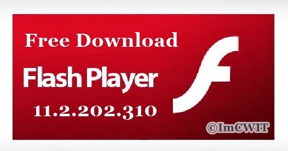 Free Download Flash Player Version 11.2.202.310 Offline 