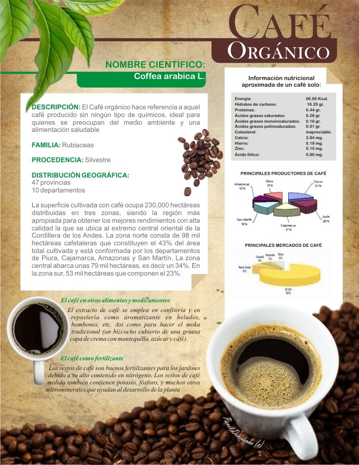 Café Organico Perú Café Orgánico Infografía