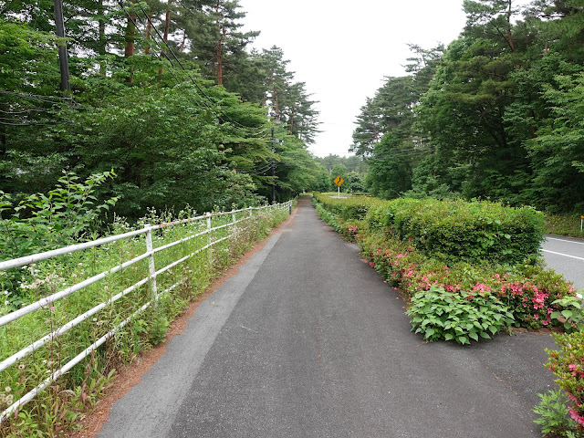 鳥取県西伯郡伯耆町丸山　Royal Hotel 大山　連絡道路