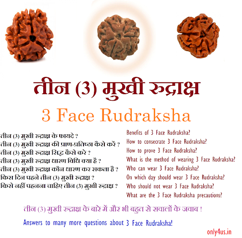 3 face rudraksha, tin mukhi rudraksha, only4us