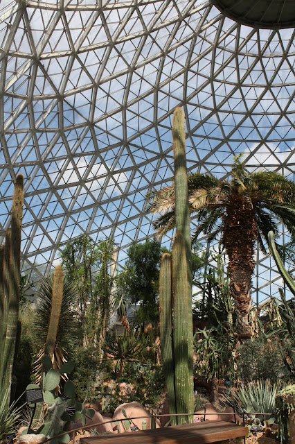 The Desert Dome at the Mitchell Park Domes in Milwaukee features plants from a variety of deserts across the world.