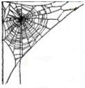 web