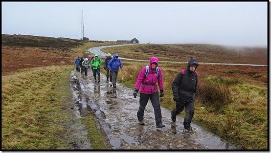 1450walkers2