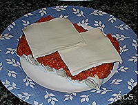 DSCN4290