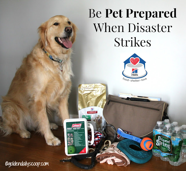 preparing pets for natural disasters #petprepared