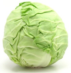 cabbage3-clean-lg
