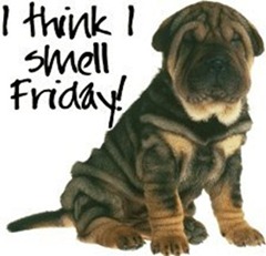 smellfriday_thumb255b4255d