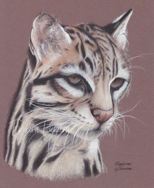 Ocelot drawing