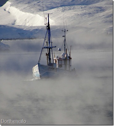 kutterisørøg