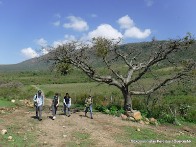 Caminando en una brecha en las faldas de Cerro Viejo / Sierra el Madroño