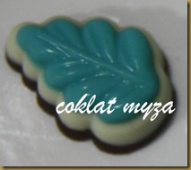 Coklat 6.4.2011 007