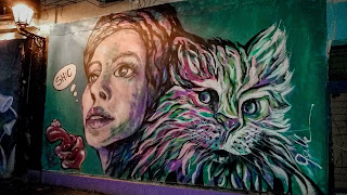 Woman with cat painted at Tuzla wall