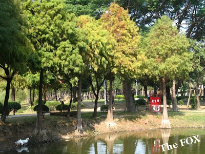 巴克禮紀念公園夢湖