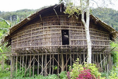 Rumah Adat Mod Aki Aksa , Rumah Adat Papua Barat