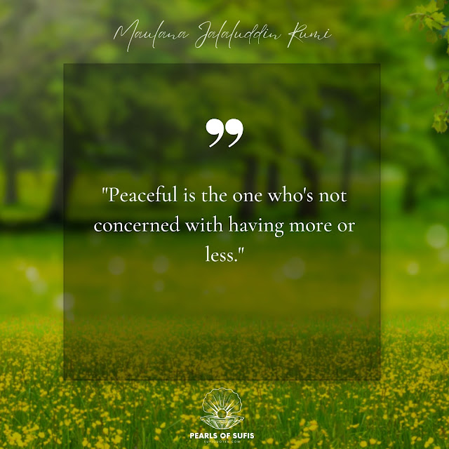 "Peaceful is the one who's not concerned with having more or less." - Maulana Rumi