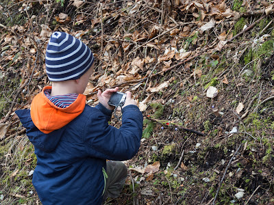 szczawnica, trasy turystyczne w Szczawnicy, przełom Dunajca, grzyby wiosenne, grzyby w kwietniu, czarki, uszaki, kisielnice, wiosenne kwiaty, bobry nad Dunajcem, szlak na granicy polsko-słowackiej