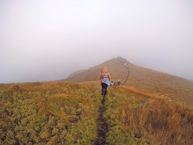 Rizza Salas x Mt. Pulag x beautiful mountain