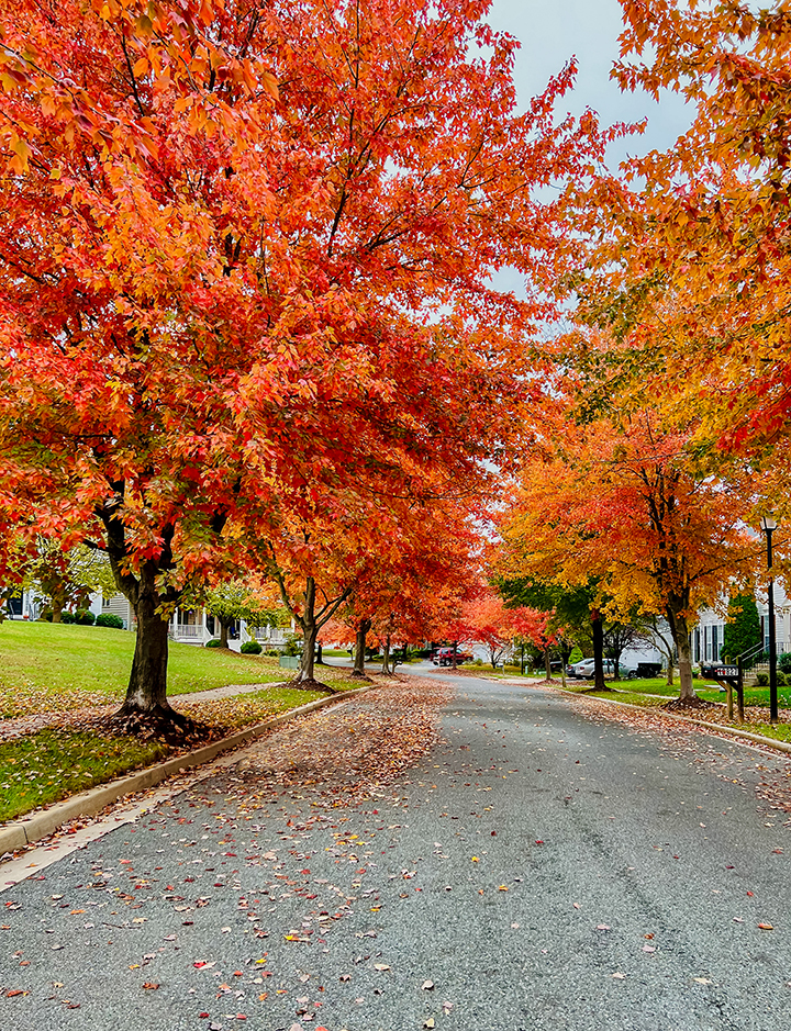 Germantown, Maryland