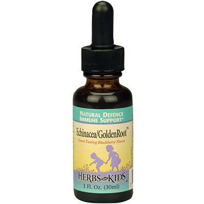 Echinacea/GoldenRoot, Blackberry Flavor Alcohol-Free 2 oz by Herbs For Kids