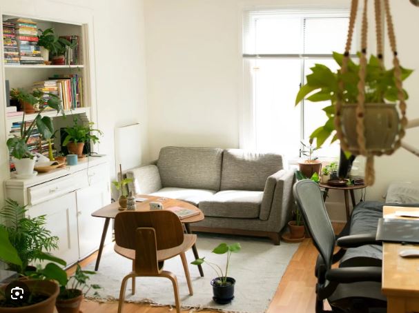 Green Home Renovations: Transform Your Space with Eco-Friendly Upgrades