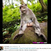 VIEW HILLARIOUS IMAGES DEVELOPED AFTER THE CHINESE RESTAURANT EXPOSURE SAGA.