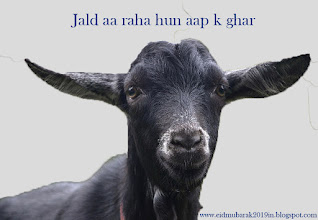 QURBANI KI ROOH AUR USKI HAQEEQAT 2021