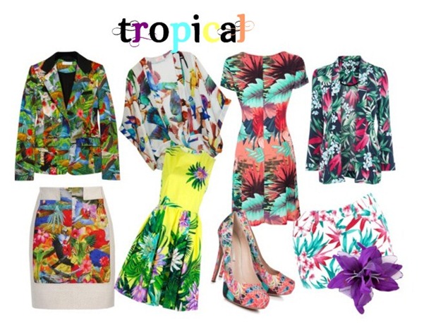 tropical 3