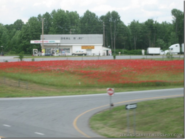 2010-05-15 005