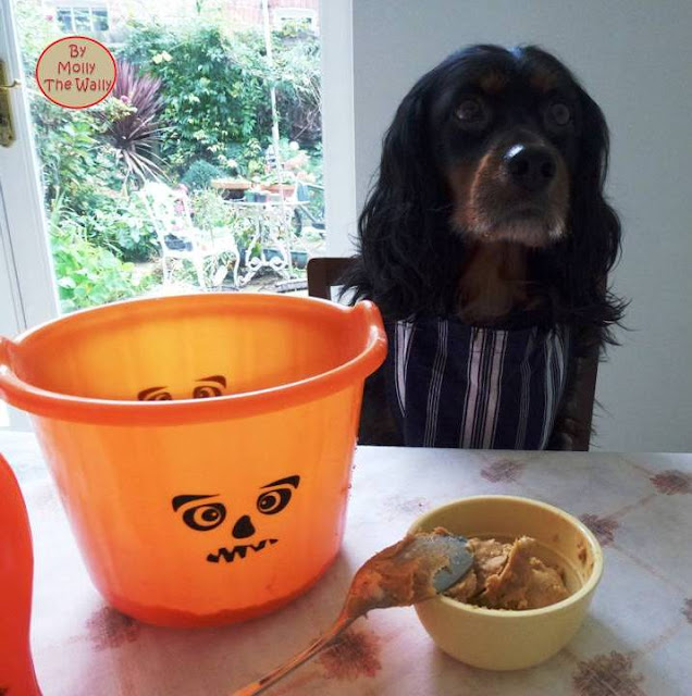 Molly The Wallys' Barking Bakes for Halloween 4